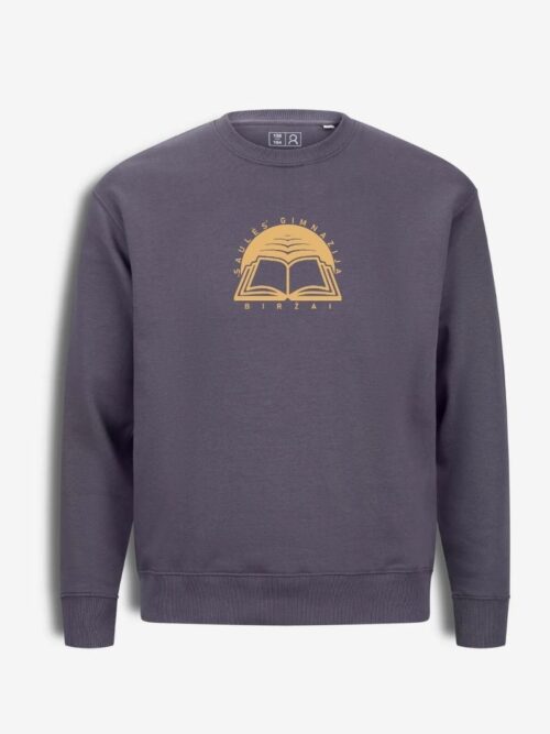 Biržų Saulės gimnazijos džemperis, asfalto pilka