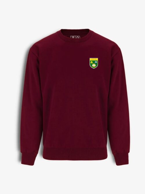 Jonavos "Lietavos" pagrindinės mokyklos džemperis, bordo