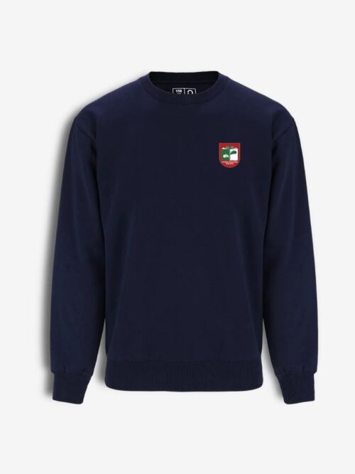 Kaišiadorių Algirdo Brazausko gimnazijos džemperis, mėlynas