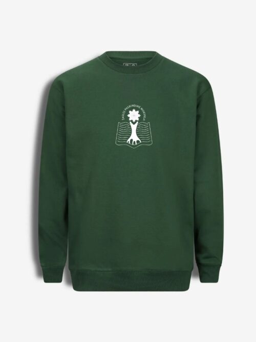 Kaišiadorių r. Žaslių pagrindinės mokyklos džemperis, žalia