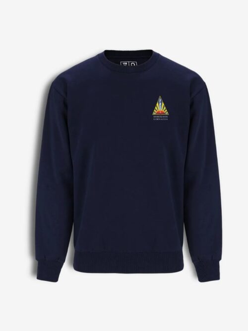 Kauno r. Domeikavos gimnazijos džemperis, mėlynas