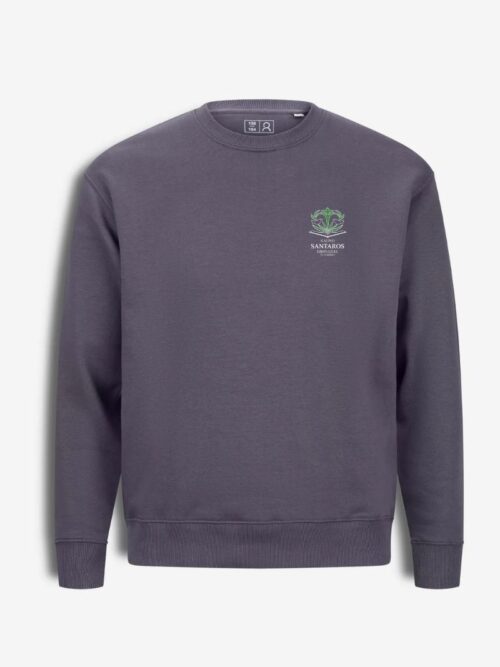 Kauno "Santaros" gimnazijos džemperis, asfalto pilka