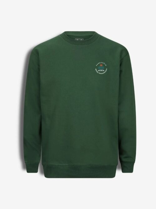 Panevėžio Beržų progimnazijos džemperis su mažu logo, žalia