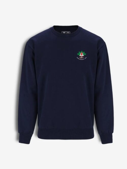 Riešės gimnazijos džemperis be gobtuvo, mėlynas