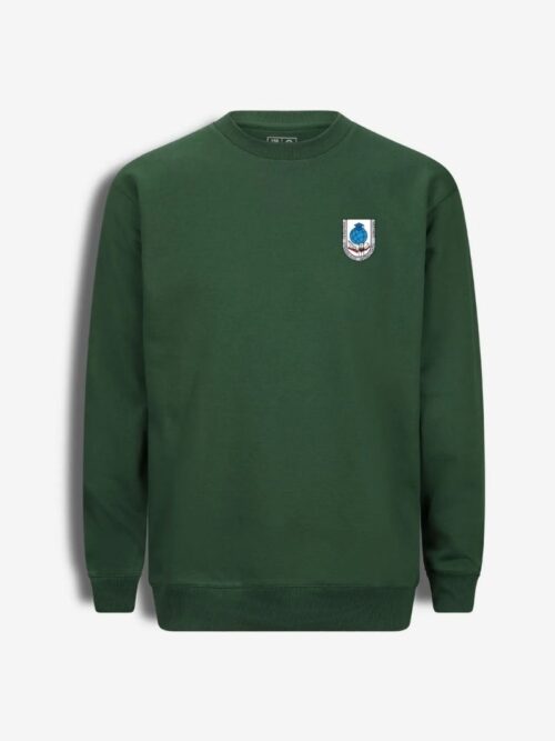 Vilniaus r. Kalvelių Stanislavo Moniuškos gimnazijos džemperis, žalias