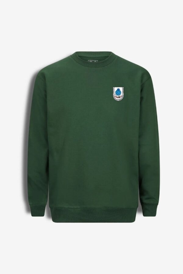 Vilniaus r. Kalveliu Stanislavo Moniuskos gimnazijos dzemperis (2) Vilniaus r. Kalvelių Stanislavo Moniuškos gimnazijos džemperis, žalias