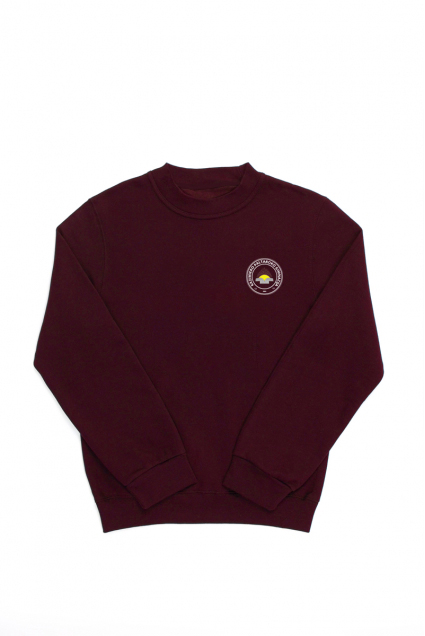 Panevėžio K. Paltaroko gimnazijos džemperis su maža emblema, bordo