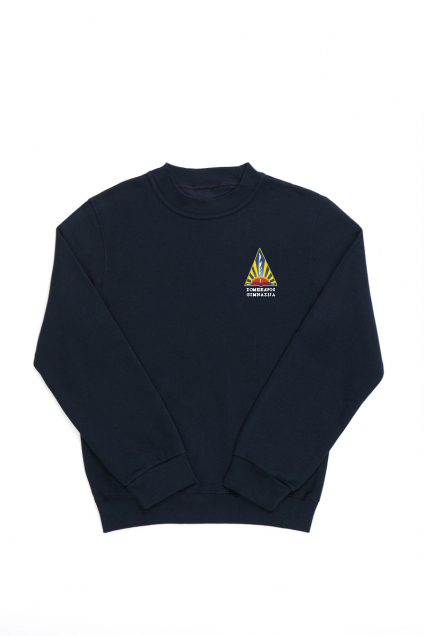 Kauno r. Domeikavos gimnazijos džemperis, mėlynas Kauno r. Domeikavos gimnazijos džemperis, mėlynas