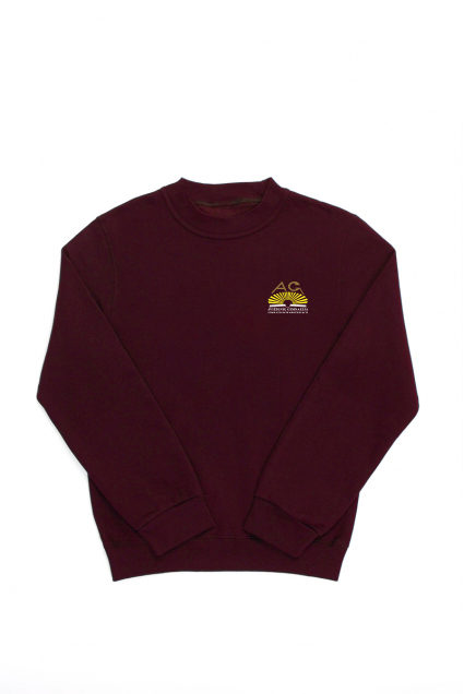 Vilniaus r. Avižienių gimnazijos džemperis, bordo Vilniaus r. Avižienių gimnazijos džemperis, bordo