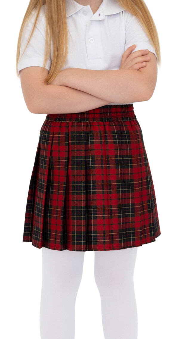 Sijonas klostuotas su guma