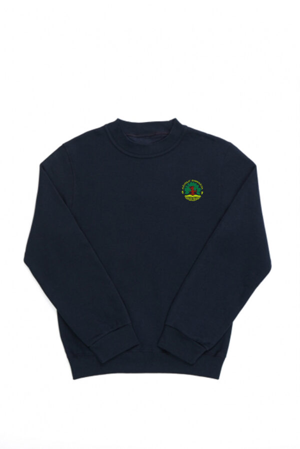 20240514_varenos_azuolo_gimnazijos_dzemperis1 Mokykliniai džemperiai