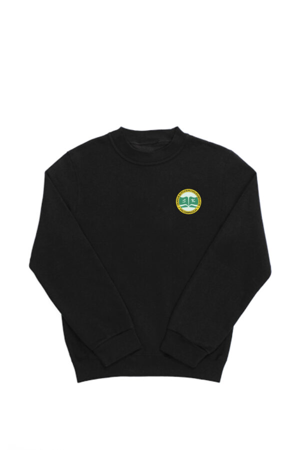 20240617_vilniaus_sofijos_kovalevskajos_progimnazijos_dzemperis2