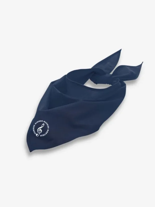 Vilniaus Algirdo muzikos mokyklos skarelės (20vnt), mėlyna