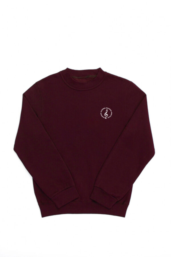 20250123_vilniaus_algirdo_muzikos_mokyklos_dzemperis2